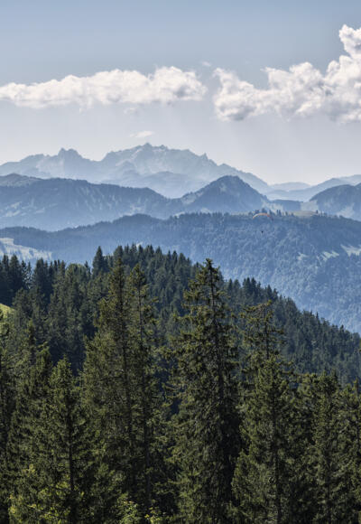 Ausblick von der Niedere