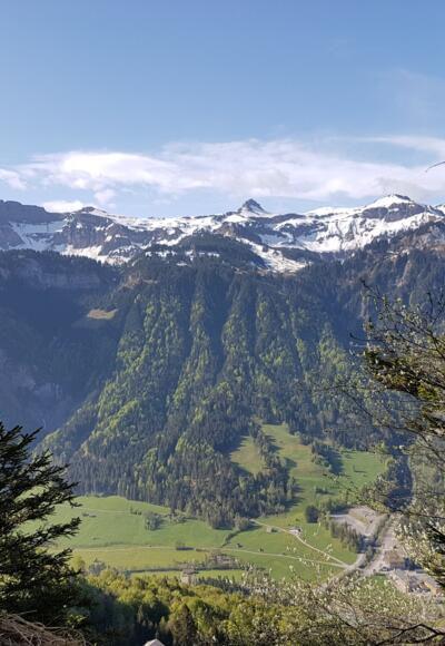 Aussicht vom Gopfberg