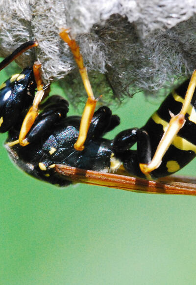 Im Nationalpark Kalkalpen