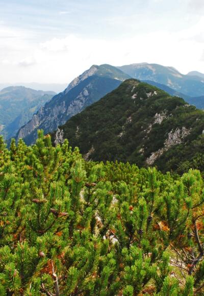 Blick vom Gamskogel nach Osten in Richtung Rohrauer Größtenberg und Hoher Nock