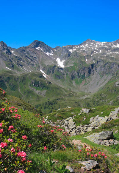 Auf dem Weg zur Trockenbrotscharte - Blick zurück Richtung Vetternspitze
