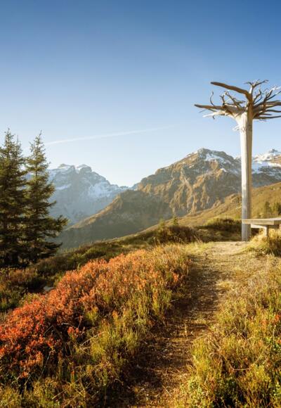 Gauertaler AlpkulTour im Herbst