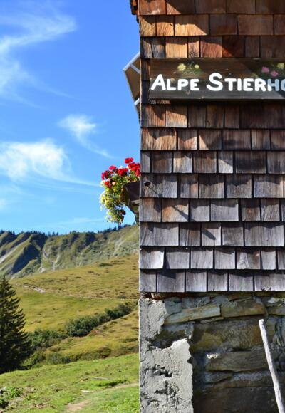 Alpe Stierhof – ein sonniges Plätzchen unterhalb der Ochsenhofer Köpfe