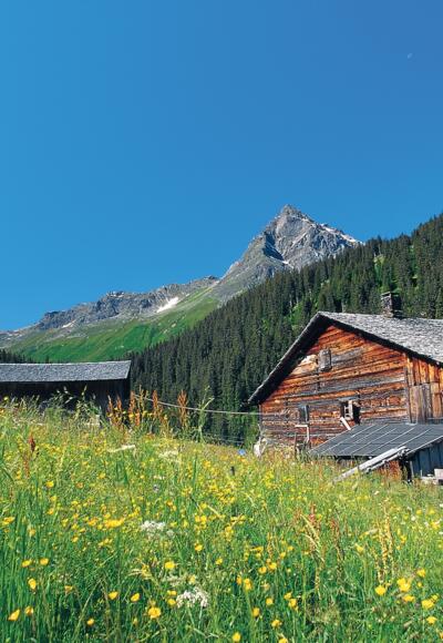 Blick von Vergalden in Richtung Madrisa