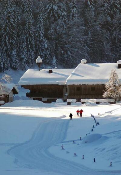 Loipe Mühlau Kiefersfelden