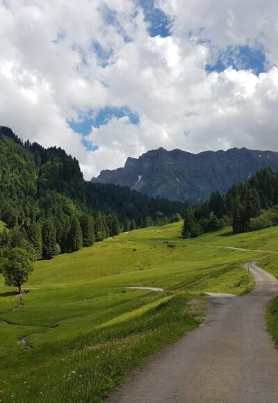 Wanderweg in Schönenbach