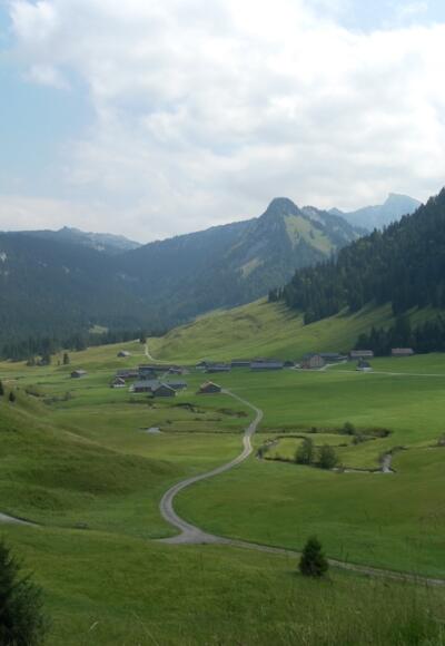 Blick auf Schönenbach