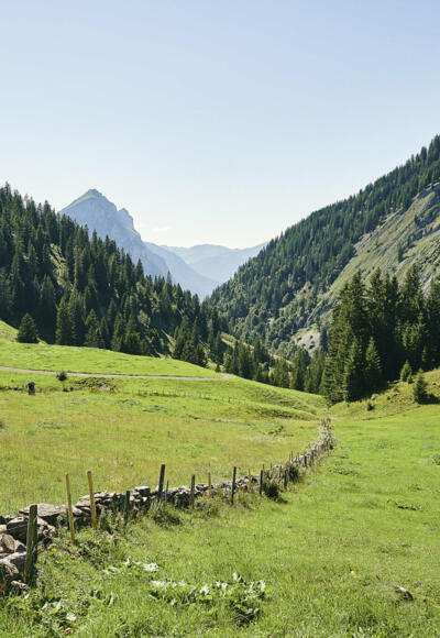 Auf dem Stogger Sattel