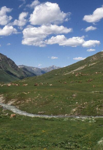 Von Ischgel durchs Fimbatal