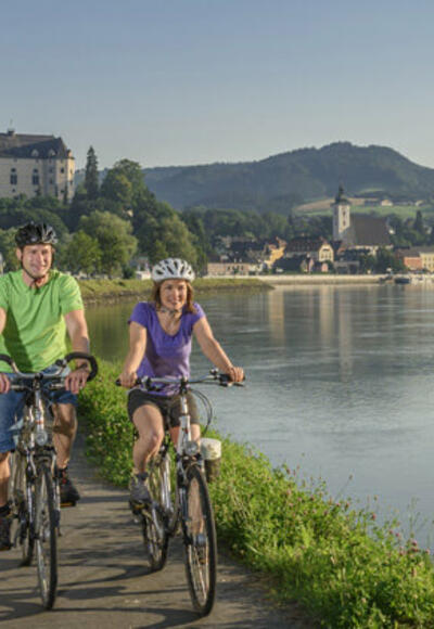 Donauradweg bei Grein