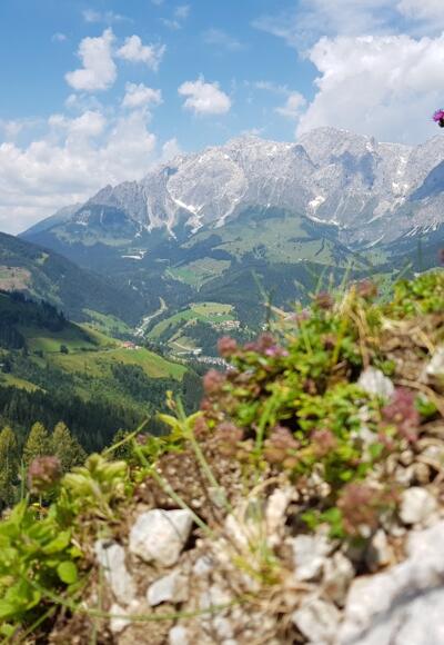 Blick auf den Hochkönig