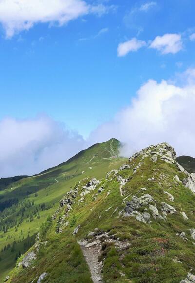 Bergrücken zwischen Wiedersberger Horn und Standkopf