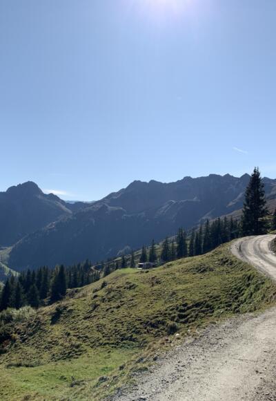 Kleiner Galtenberg, Dristenkopf, Gamskopf, Tapenkopf, Sagtaler