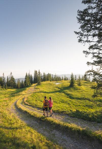 wunderschöne Wiesenpfade führen Sie von Hinterthal nach Mühlbach