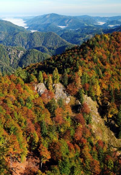 Etappe_02_Hintergebirge_NPK Kalkalpen_©Sieghartsleitner