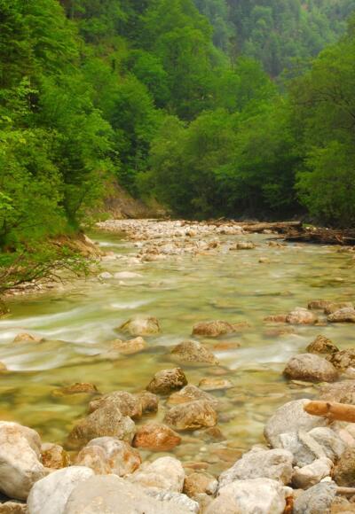 Etappe_01_Großer Bach_Hintergebirge_NPK Kalkalpen_(c)Sieghartsleitner