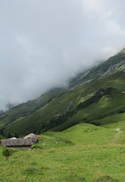 Bei der Hochschere (19. August 2013)