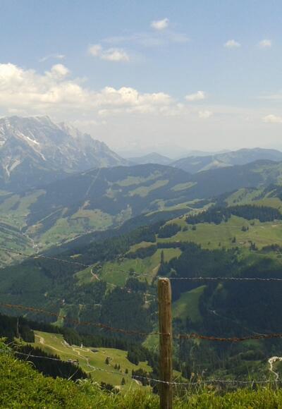 Schwalbenwand