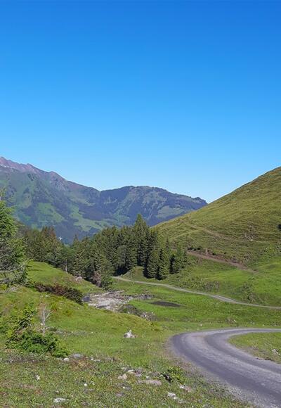 Mountainbike Tour durch das Sulzbachtal in Fusch