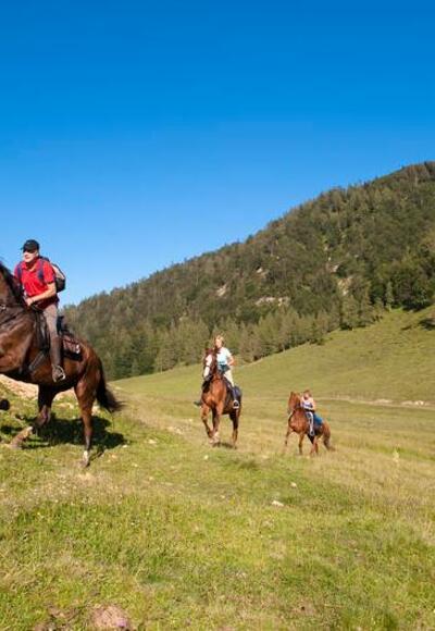 Almboden Dörflmayralm