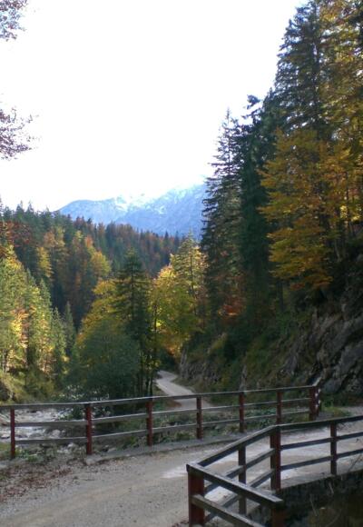 der Geopfad zur Gufferthütte im Ampelsbach-/Filzmoosbachtal