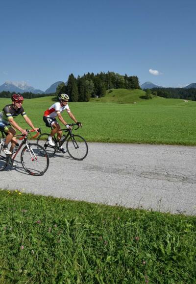 Der Wilde Kaiser im Hintergrund