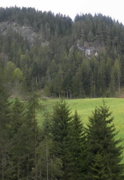 Sattel vor dem Gipfelaufbau