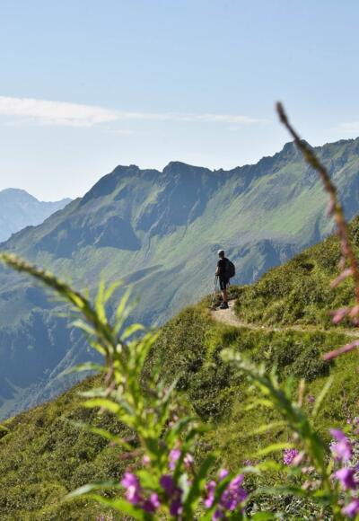 Panoramaweg Wiedersbergerhorn Alpbach