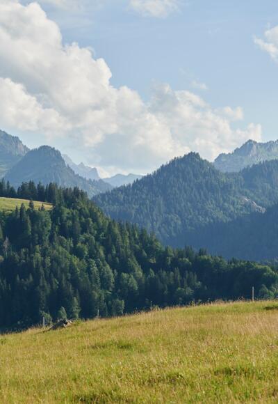 Wandern in Sibratsgfäll