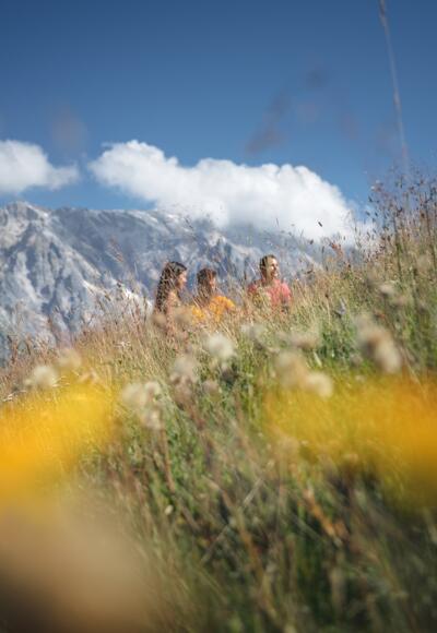 Entdecken Sie die Vielfalt an Kräutern und Blumen