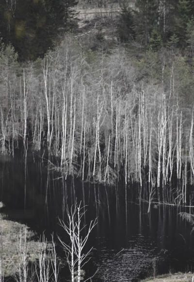 Blick  auf das Mandlinger Moor vom Weg Nr. 611 auf dem Mandlberg