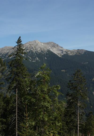 auf halbem Weg: Blick auf den Daniel