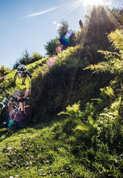 Biken am Kitzsteinhorn im Grünen
