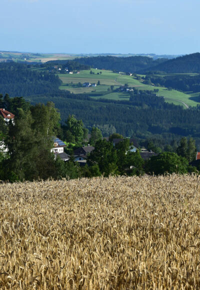 Blick vom Zollhaus nach St. Oswald bei Haslach