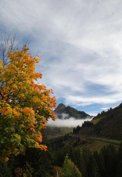 Blick zur Galerie und Zafernhorn Faschina