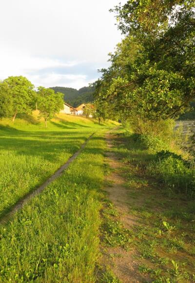 Donau bei Niederranna
