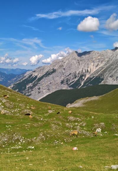 Kurz vor dem Etappenziel