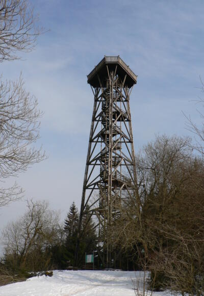 Mit mehr als 30 Metern überragt die Dambergwarte die umliegenden Baumwipfeln