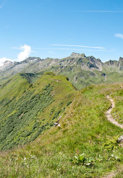 Alexander Enzinger Weg