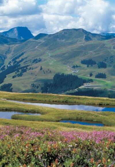Panoramaweg mit Blick zum Geißstein