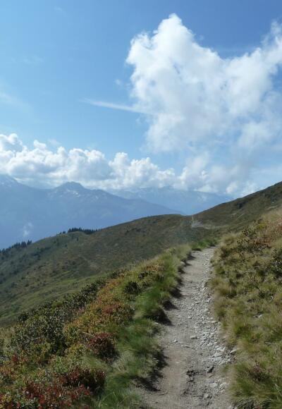 Pinzgauer Spaziergang