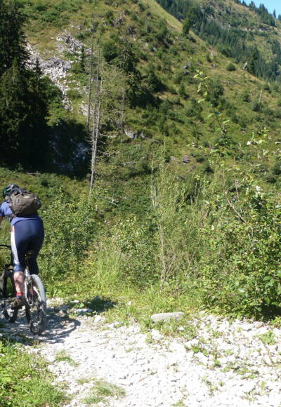 Einfahrt in den Bachler-Trail 