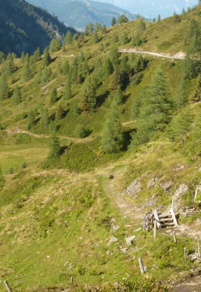 Fast endloses Abfahrtsvergnügen