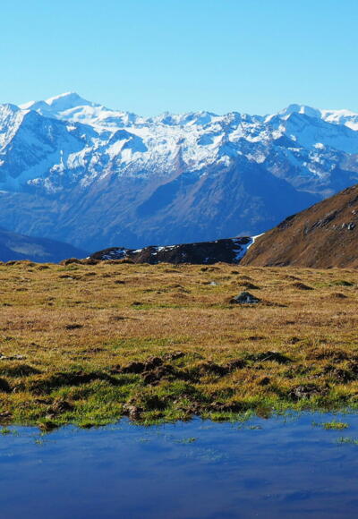 Schwarzpalfen ~2190m mit Venedigergruppe