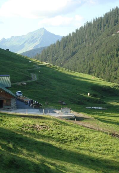 Alpe Els, Bludenz/Muttersberg