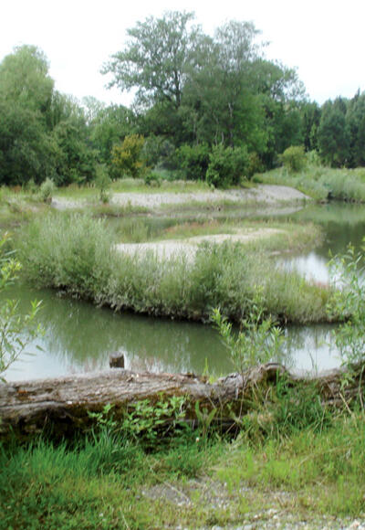 Naturnah gestaltete Landschaft