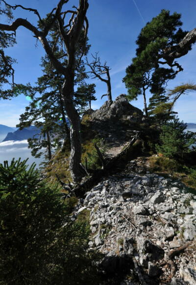 &quot;Am Südwestgrat&quot;