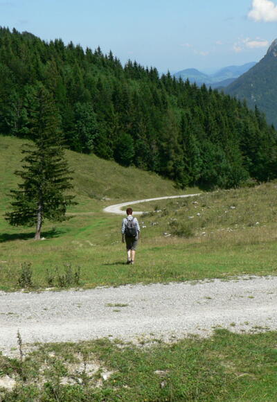 Der Weg führt immer geradewegs hinunter