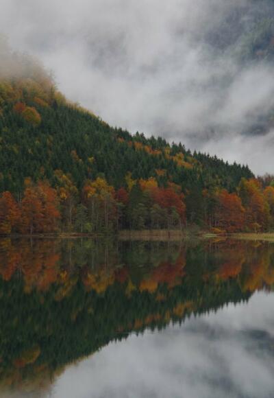 Vormittagsstimmung am Offensee