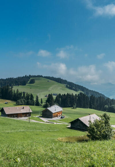 Bödele (c) packyourthingsandtravel / Vorarlberg Tourismus